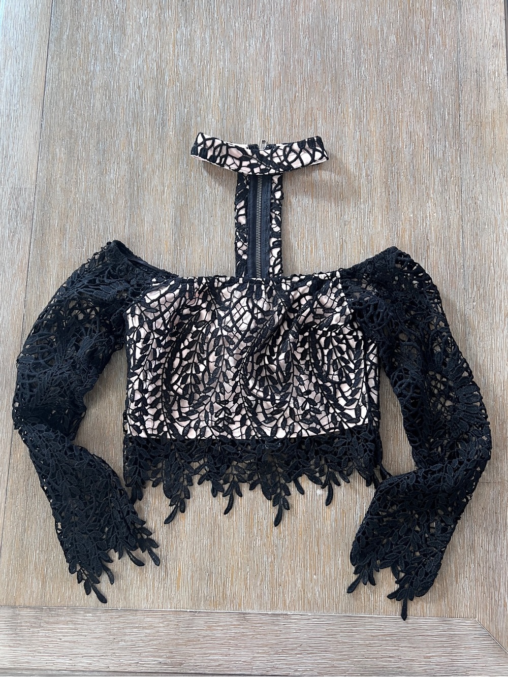 Black Lace Crop Top with Nude Underlay and Choker Strap